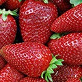 strawberry5