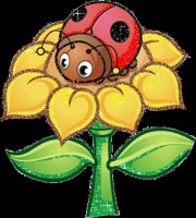 Ladybug--7-3-12
