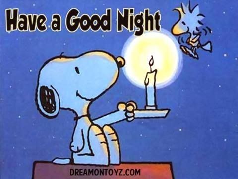 sayings Snoopy good night.jpg