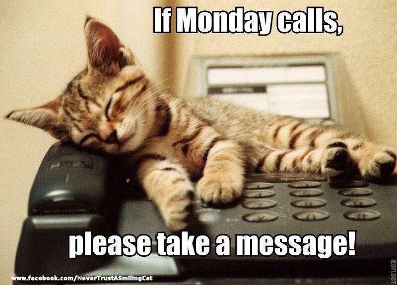 If Monday calls.jpg