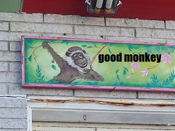 sized good monkey.jpg