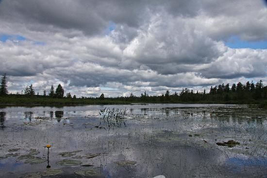 storm-clouds-lilly-pads Umcolcus Sporting Camps Oxbow Plantation.jpg