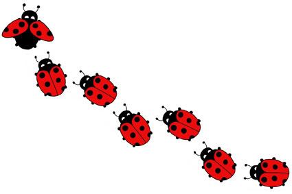 Ladybug Trail 3.jpg