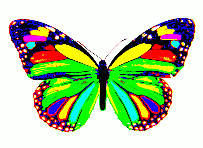 rainbow_butterfly_by_atillathehungarian.gif