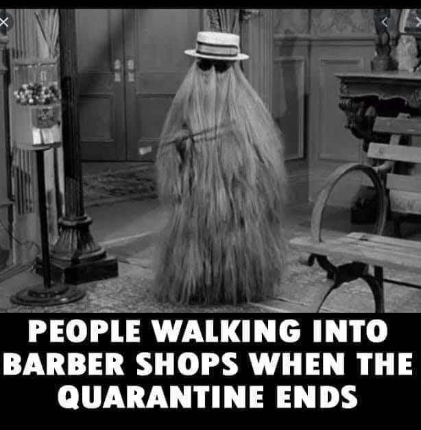 quarantine and long hair.jpg