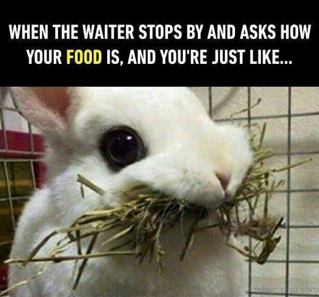 waiter meme.jpg