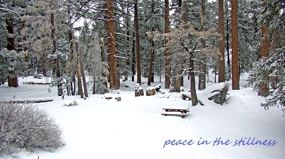 peace in the stillness.jpg