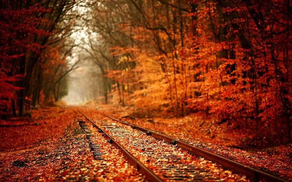 fall-colours-train-ride.jpg