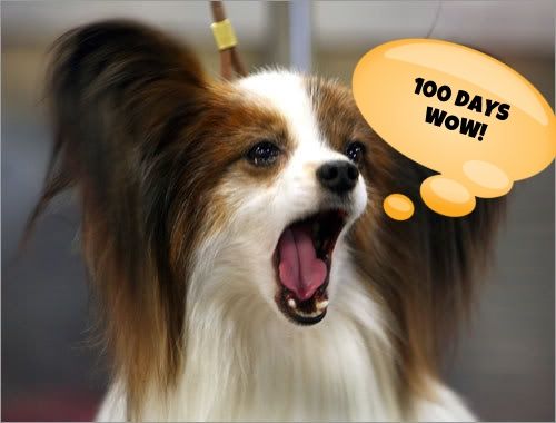 100 Days Wow Dog Open Mouth.jpg