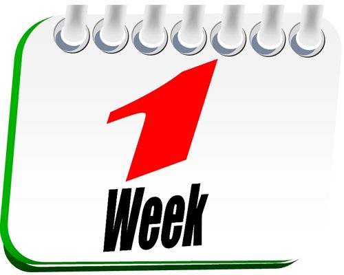 1 Week Calendar Page.jpg