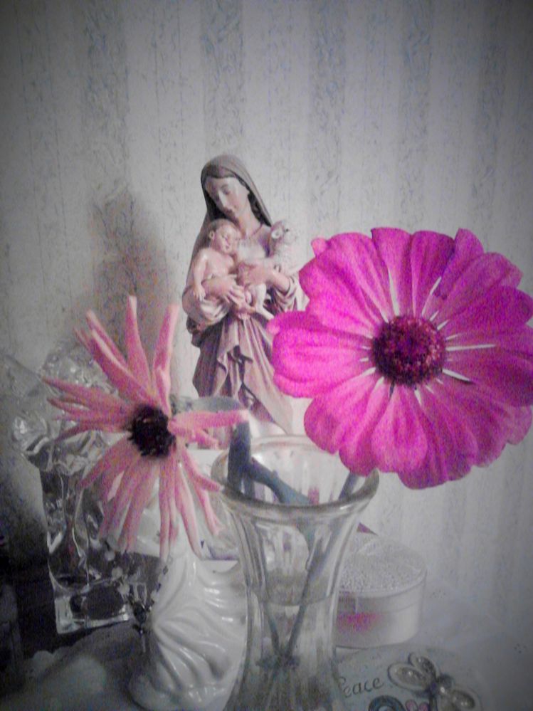 flowers last zinnia with madonna (2).jpg