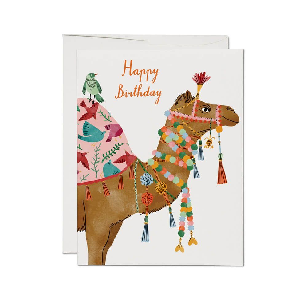 happy birthday camel.jpg