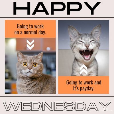 happy-wednesday-funny-picture-with-text.jpg