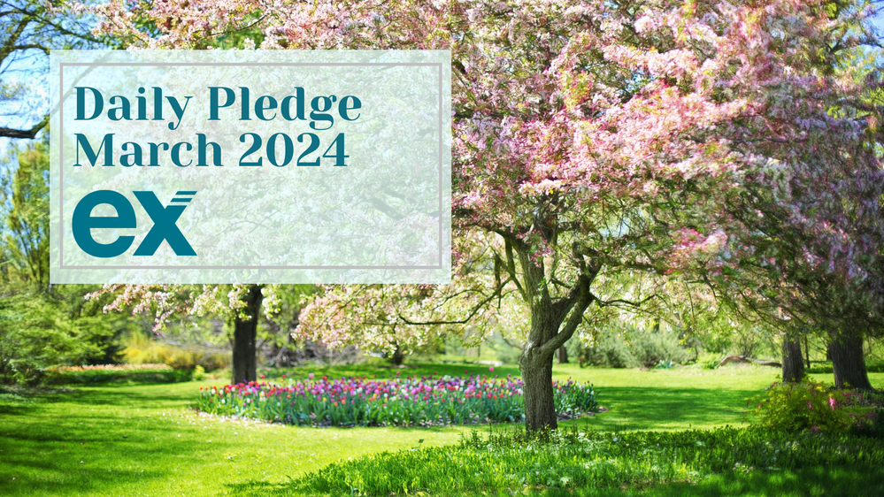 March 2024 Daily Pledge.png
