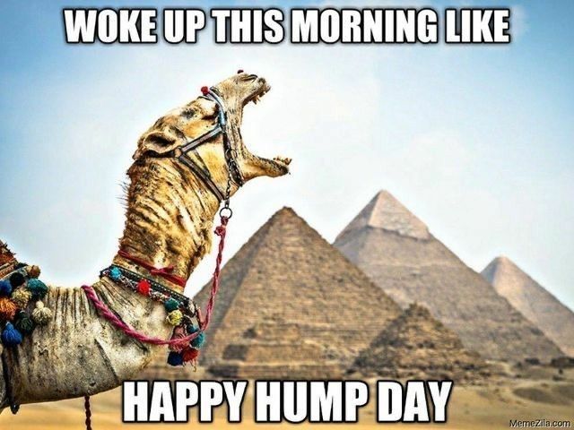 It's a hump ditty nope ditty nope nope day to be WON!
