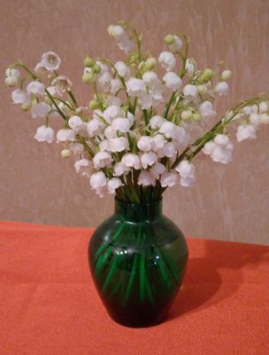 Lilly of the Valley.jpg