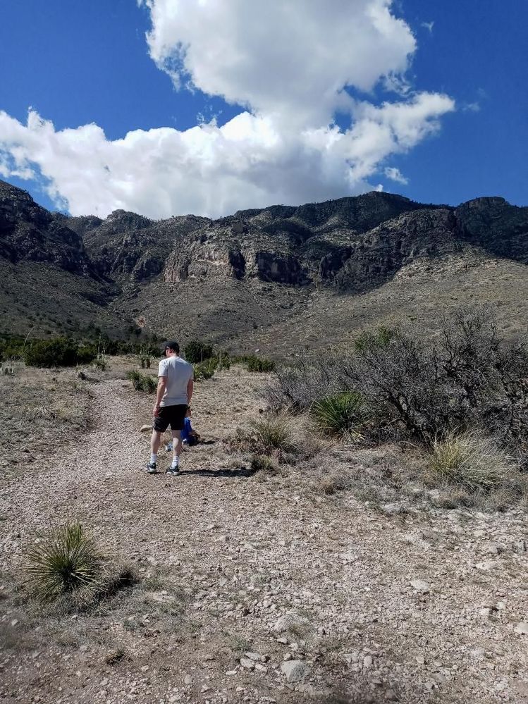 Still in New Mexico.  Most challenging walk we did, about 2.5 miles and some of it was steep.  Next time, I will take a hiking stick and get better trail shoes.  That's my son and the older two.  They left me, my DIL and the 8 yr old behind, lol.