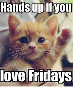Hands Up Love Fridays Cat.jpg