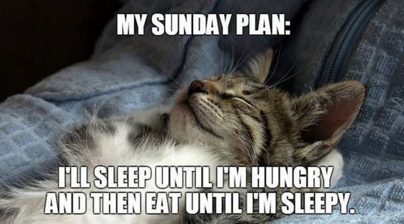 My Sunday Plan.jpg
