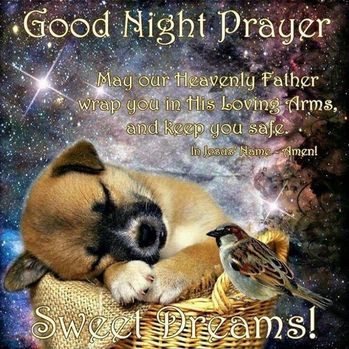 sayings good night prayer.jpg
