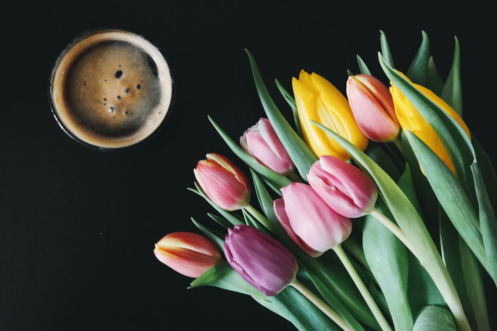 Coffee-Tulips-brigitte-tohm.jpg