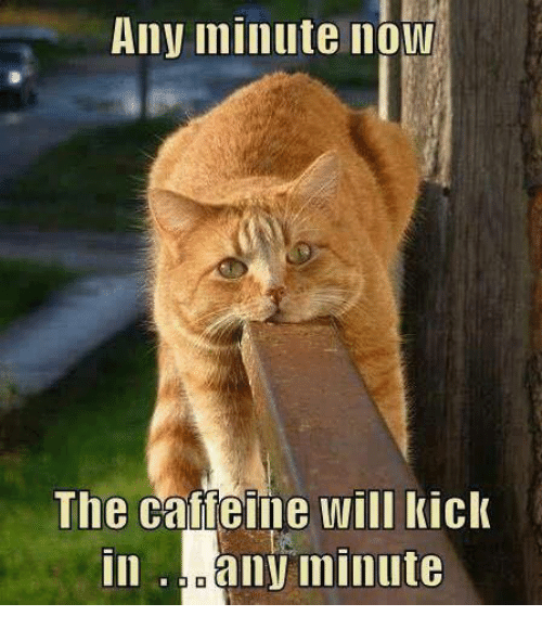 any-minute-now-the-caffeine-will-kick-in-any-minute-6027828.png