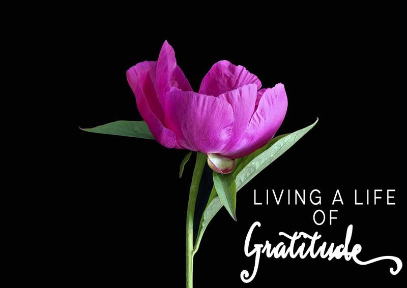Living A Life Of Gratitude.jpg