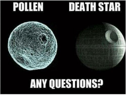 pollen-death-star-any-questions-21101901.png