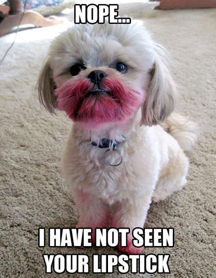 I have not seen lipstick.jpg