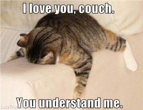 couch love.jpg